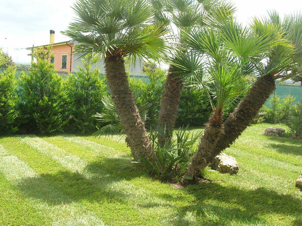 B&B S'Ena Suni Εξωτερικό φωτογραφία